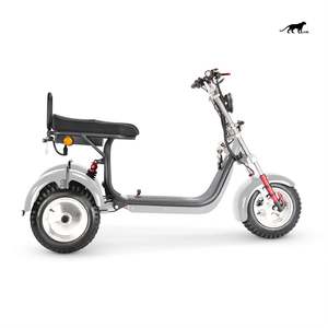 Tricycle électrique et solaire à écran LCD de 60V, 10 pouces, <span class=keywords><strong>125cc</strong></span>, moto à <span class=keywords><strong>3</strong></span> <span class=keywords><strong>roues</strong></span>, <span class=keywords><strong>scooter</strong></span> à <span class=keywords><strong>3</strong></span> <span class=keywords><strong>roues</strong></span>, 2000W, vente à chaud - Product Image 5