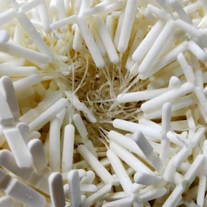Cattle Estrus Sponge with Y Type Cow <strong>CIDR</strong> for Sheep Goat Breeding Farm Ewe - Product Image 4