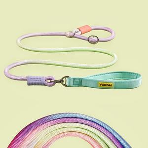 Huisdier Hond Kat Accessoire Mode Verloopkleuren Strakke Training Nylon Luxe Touw Slip Lead Hondenhalsband En Leash Set - Product Image 1