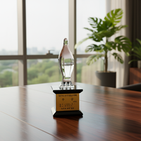Collection de Plaques en Cristal de Luxe – 4 Styles : Aigle, Nid d'Abeille, Gravure Laser, Étanche – Idéales pour les Récompenses et la Décoration Maison/Bureau