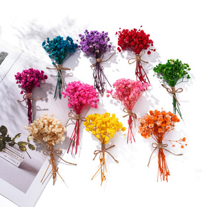 Mini Colorful Dried Baby's Breath Bouquet <b>Diy</b> Craft <b>Kit</b> For Home Decor Wall Art Accessories Yiwu Origin - Product Image 3