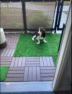 Hanwei trang trí ngoài trời tổng hợp cỏ sàn Mat nhựa cỏ Gạch/vườn gạch cỏ nhân tạo lồng vào nhau gạch - Product Image 6