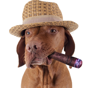Sigaret Sigaar Piepen Speelgoed Voor Honden Pluche Knagen Speelgoed - Product Image 1