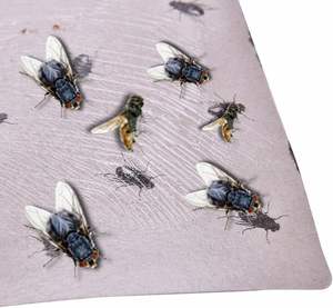 強力なフライ接着剤付き超効果的な粘着性フライトラッピングツール屋外フライコントロール用 - Product Image 4