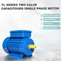 Moteur électrique monophasé YL100L1-4 2,2 kW 3 CV 110 V 220 V 60 Hz Moteurs électriques AC