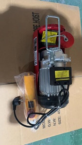 Penjualan langsung pabrik grosir beberapa model 220v 400kg PA400 kerekan listrik <span class=keywords><strong>mini</strong></span> untuk dijual - Product Image 5