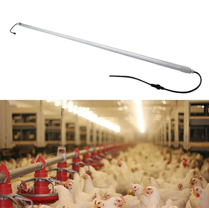 Su geçirmez led tavuk çiftlik ampul t8 led kanatlı ev tüp lamba için dim led lambalar kümes hayvancılığı
