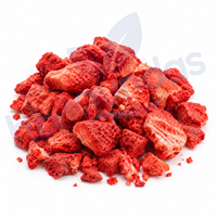 Vente en gros usine : Tranches de fraises lyophilisées 100% naturelles, disponibles en OEM, en vrac, pour la pâtisserie