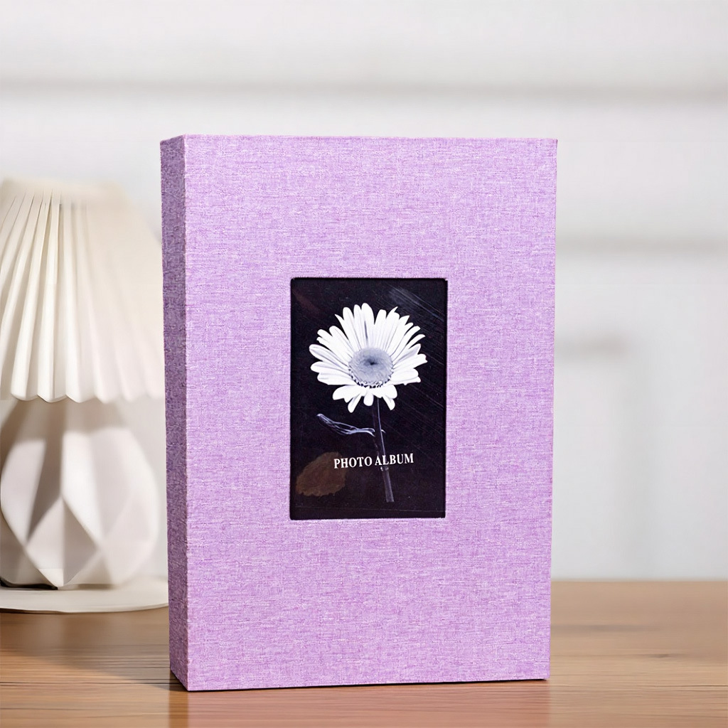 Chrysanthemum purple