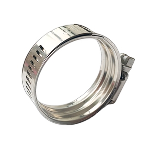 Bon marché prix en acier inoxydable pince à vis bande de Type américain collier de serrage avec doublure tuyau de carburant pince à vis sans fin - Product Image 2