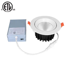 Đèn Âm Trần Âm Trần LED Trong Nhà ETL FCC Đèn Âm Trần 4 Inch Điều Khiển Gắn Bề Mặt 12W 3CCT Có Thể Điều Chỉnh