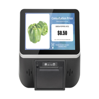 Mini POS untuk Usaha Kecil, Perangkat POS Layar Sentuh yang Dapat Dipasang di Dinding, Mesin Kasir POS dengan Printer