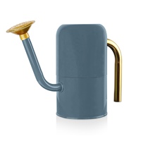 Arrosoir d'intérieur en acier galvanisé style nordique, 0,6 gallon, en métal – Offre spéciale