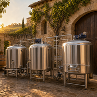 Système de brassage clé en main Tonsen 3000L 30HL, équipement complet de brassage de bière pour microbrasserie et brasserie artisanale, ligne de production de bière artisanale