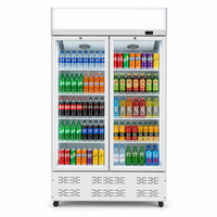 Réfrigérateur à boissons en gros avec verre Low-E, éclairage LED, température 2-8°C, idéal pour supermarchés, restaurants, hôtels et bars