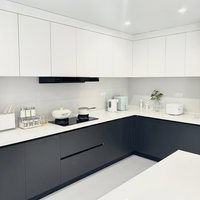 Meubles de cuisine modulaires en panneaux de mélamine sur mesure, structure en bois massif, évier, finition laquée haute brillance, OEM/ODM