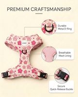 Ensemble de harnais pour chien anti-traction personnalisé, collier rembourré doux, laisse et harnais de qualité supérieure pour chien, distributeur de sacs à déjections canines, accessoires pour animaux de compagnie
