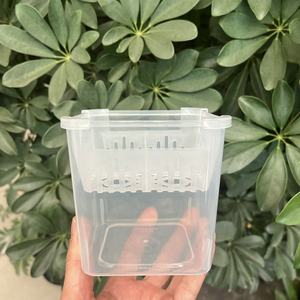 Pots <span class=keywords><strong>de</strong></span> culture hydroponique à 4 trous avec design en forme <span class=keywords><strong>de</strong></span> <span class=keywords><strong>bulbe</strong></span> pour plantes succulentes d'intérieur, orchidées, contenants décoratifs pour la culture aquatique - Product Image 4