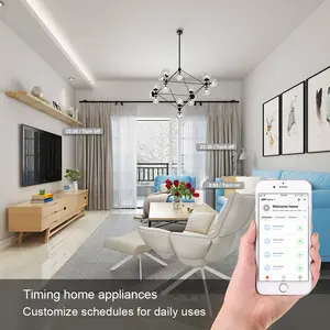 2022ホットセール電気ホームリモートコントロールワイヤレスミニソケットはGoogleSmart Home USWifiスマートプラグで動作します
