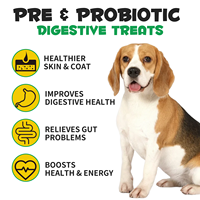 OEM ODM Private Label Supplément de santé digestive probiotique pour animaux de compagnie 150 Friandises digestives probiotiques à mâcher pour chiens