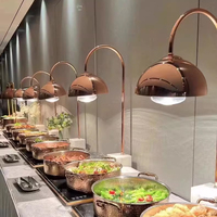 Lampu Pemanas Makanan Listrik Dapur Komersial, Penghangat Prasmanan Isolasi Termal 250W 220V/110V untuk Hotel Restoran
