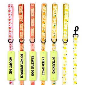 Housse de laisse personnalisée pour chien en nylon, ensemble de laisse pour chien, manchon de laisse pour l'entraînement et la gestion du stress - Product Image 1