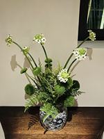 Feuillage de Fougère Frais Coupé en Gros, Grandes, Moyennes et Petites Tailles, pour Bouquets de Mariage et Arrangements Floraux