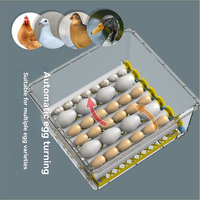 Incubateur entièrement automatique 64 œufs à contrôle numérique, retournement automatique, double alimentation, en plastique ABS haute transparence pour poulets et canards, OEM