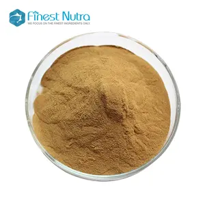 Hot Sale Flavone Glycosides 24% Terpene Lactones 6% Ginkgo Biloba Extract Powder