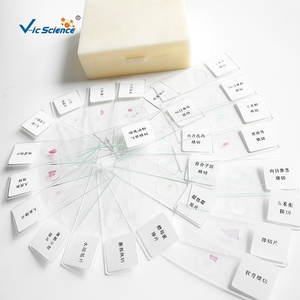 25 pièces de lames préparées pour microscope de microbiologie et mycologie, éducatives, spécimens biologiques, <span class=keywords><strong>champignons</strong></span> - Product Image 6