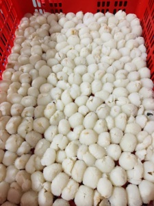 ลิ้นจี่แช่แข็งแบบพรีเมี่ยมส่งออกผลไม้สดจากเวียดนาม - Product Image 5