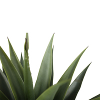 Agave artificielle en plastique avec tronc en bois véritable, plante tropicale d'intérieur, résistante aux UV, écologique, pour aménagement paysager, 100 cm, Pâques