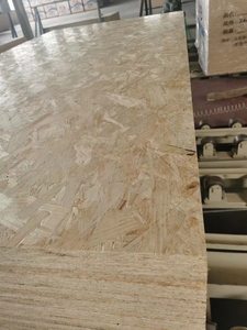 Tableros <span class=keywords><strong>OSB</strong></span> resistentes a la humedad, precio competitivo, 9mm, 11mm, 18mm, paneles de madera para superficie terminada de construcción <span class=keywords><strong>Exterior</strong></span> e Interior - Product Image 5