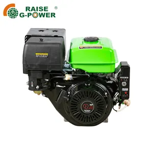 Motor de gasolina de 4 tiempos refrigerado por aire, 9 HP RZ177FE de shanghai raise