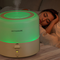 Vente chaude Appareil Ménager Ultrasonique D'air Humidificateur Diffuseur Humidificateur D'air Mini 1000ml