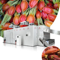 Fruitdroogmachine Gardenia Fruit Mesh Belt Dryer Fruit- en groentedroger Fruitdroger Gardenia Fruit Mesh Belt droogapparatuur