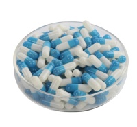 Capsules vides végétariennes de qualité supérieure HPMC (plante végétale) Capsules entériques certifiées GMP/HALAL/ISO Désintégration en 15 minutes