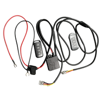 12V 24V 260W LED-Zusatzleuchte mit Kabelloser Fernbedienung und Kabelbaum-Modul, Stroboskop für Autos und LKWs