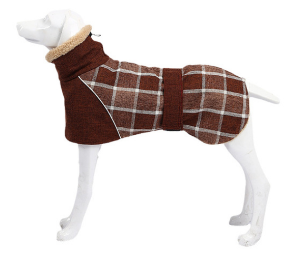 สีน้ำตาล