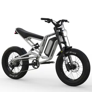 Layanan ODM 20*4 ''Ebike Sepeda Listrik 3000W Fatbike Electrica 3000W Fat Bike Vintage