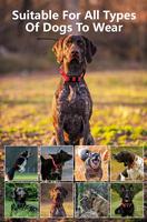 Collier de suivi GPS GSM LBS pour chien de qualité professionnelle en plastique, étanche, performances supérieures, portée étendue, temps réel