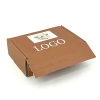 Sobre de Cartón Corrugado Ecológico Moderno Personalizado con Forma de Avión, Autoadhesivo con Tira Desprendible, Impresión de Logotipo a Cuatro Colores con UV
