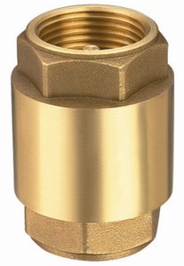 <span class=keywords><strong>Clapet</strong></span> <span class=keywords><strong>anti</strong></span>-<span class=keywords><strong>retour</strong></span> vertical en laiton de 3 ''4'' Filtre en acier inoxydable pour <span class=keywords><strong>pompe</strong></span> <span class=keywords><strong>à</strong></span> <span class=keywords><strong>eau</strong></span> - Product Image 6