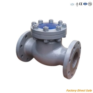 Válvula de Retención de Bola Oscilante de Acero Inoxidable Forjado con Brida Industrial 6D de Hierro Fundido - Product Image 5