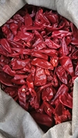 Piment rouge séché entier AD Yidu, paprika, épice sans additifs, traçable pour le marché éthiopien