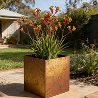 Jardinière carrée minimaliste en acier Corten, moderne et durable, 72L, pour balcon, plantes succulentes et vertes