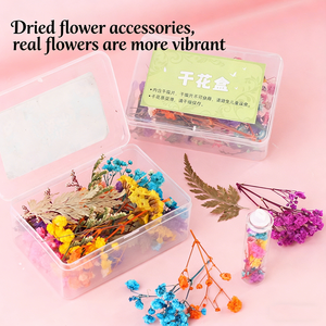 POWER Shinning Mr. Toy Pequeño <span class=keywords><strong>Mago</strong></span>, Manualidad <span class=keywords><strong>Infantil</strong></span> que Brilla en la Oscuridad, Regalo DIY, Botella de Poción Mágica, Hada Floral - Product Image 6