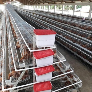 Mejor Diseño de pájaro móvil familia pato pollo jaula de aves de corral de las gallinas <span class=keywords><strong>ponedoras</strong></span> Accesorios - Product Image 3