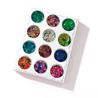 Glitter Sequin Kuku 12 Warna Chameleon Cross-Border Super Flash Laser Aurora PET Ultra Tipis Set DIY