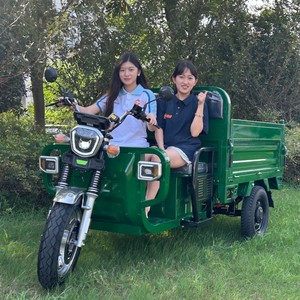 Tricycle électrique certifié Autohoist 45 km/h EEC COC en stock moteur haute puissance <span class=keywords><strong>moto</strong></span> à trois <span class=keywords><strong>roues</strong></span> batterie 58 Ah - Product Image 1